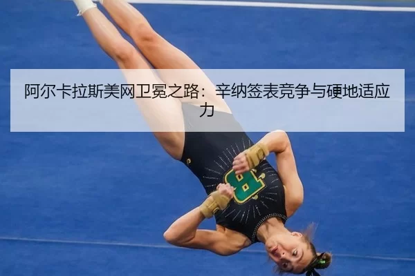 a-er-ka-la-si-mei-wang-wei-mian-zhi-lu-xin-na-qian-biao-jing-zheng-yu-ying-di-shi-ying-li-2-900.jpg